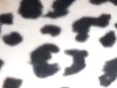 Brown FAT Random Farts